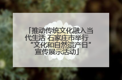 推动传统文化融入当代生活 石家庄市举行“文化和自然遗产日”宣传展示活动