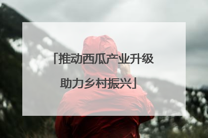推动西瓜产业升级 助力乡村振兴