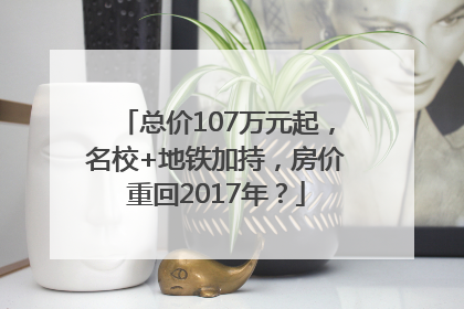 总价107万元起，名校+地铁加持，房价重回2017年？