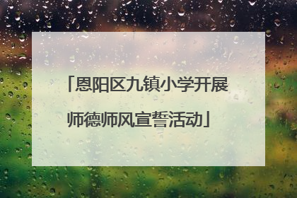 恩阳区九镇小学开展师德师风宣誓活动
