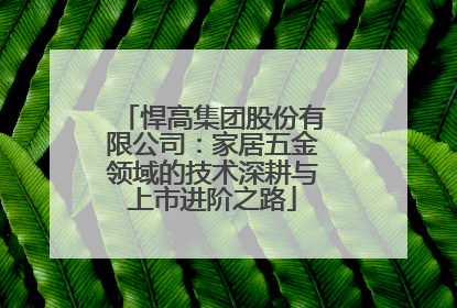悍高集团股份有限公司：家居五金领域的技术深耕与上市进阶之路