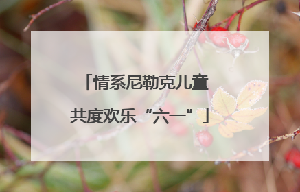 情系尼勒克儿童 共度欢乐“六一”
