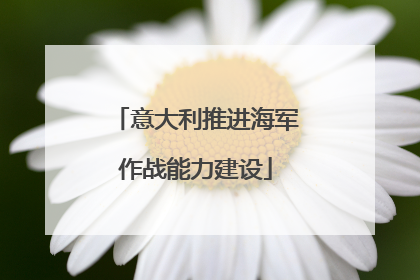 意大利推进海军作战能力建设
