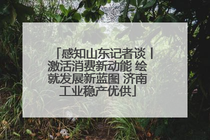 感知山东记者谈丨激活消费新动能 绘就发展新蓝图 济南工业稳产优供