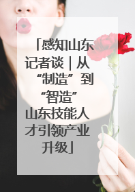感知山东记者谈｜从“制造”到“智造” 山东技能人才引领产业升级