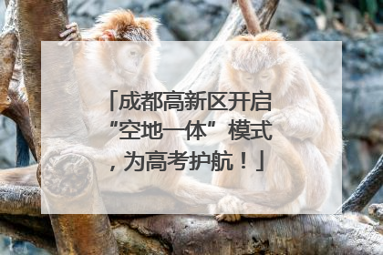 成都高新区开启“空地一体”模式，为高考护航！