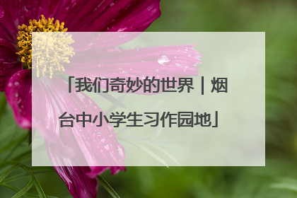 我们奇妙的世界｜烟台中小学生习作园地