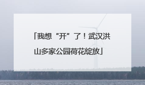 我想“开”了！武汉洪山多家公园荷花绽放