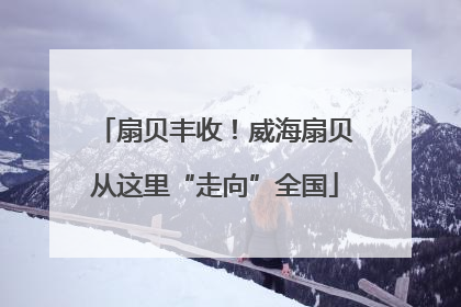 扇贝丰收！威海扇贝从这里“走向”全国