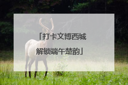 打卡文博西城 解锁端午楚韵
