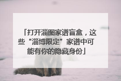 打开淄图家谱盲盒，这些“淄博限定”家谱中可能有你的隐藏身份