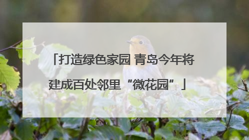 打造绿色家园 青岛今年将建成百处邻里“微花园”