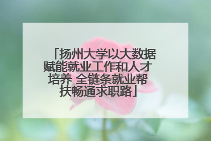 扬州大学以大数据赋能就业工作和人才培养 全链条就业帮扶畅通求职路