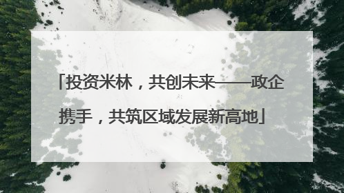 投资米林，共创未来——政企携手，共筑区域发展新高地