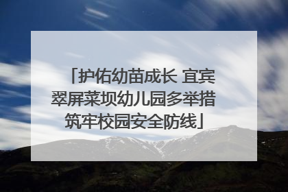 护佑幼苗成长 宜宾翠屏菜坝幼儿园多举措筑牢校园安全防线