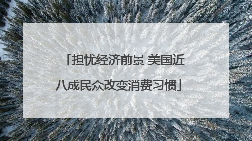 担忧经济前景 美国近八成民众改变消费习惯