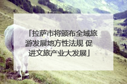 拉萨市将颁布全域旅游发展地方性法规 促进文旅产业大发展