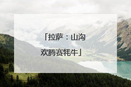 拉萨：山沟欢腾赛牦牛