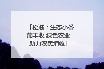 松滋：生态小番茄丰收 绿色农业助力农民增收