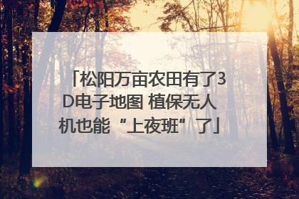 松阳万亩农田有了3D电子地图 植保无人机也能“上夜班”了