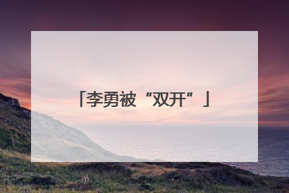 李勇被“双开”