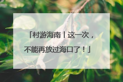 村游海南丨这一次，不能再放过海口了！