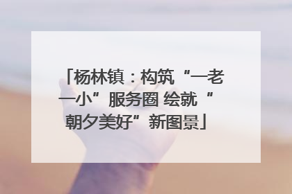 杨林镇：构筑“一老一小”服务圈 绘就“朝夕美好”新图景