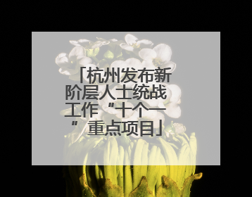 杭州发布新阶层人士统战工作“十个一”重点项目