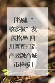 构建“一核多极”发展格局 四川宜宾打造产教融合城市样板
