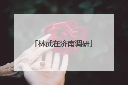 林武在济南调研