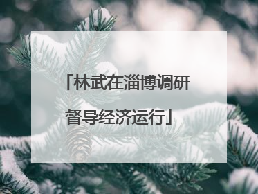 林武在淄博调研督导经济运行