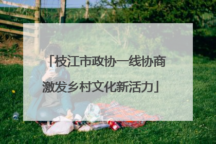 枝江市政协一线协商激发乡村文化新活力