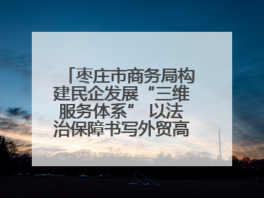 枣庄市商务局构建民企发展“三维服务体系” 以法治保障书写外贸高质量答卷