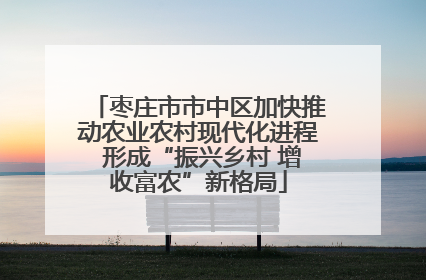 枣庄市市中区加快推动农业农村现代化进程 形成“振兴乡村 增收富农”新格局