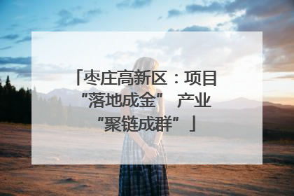 枣庄高新区：项目“落地成金” 产业“聚链成群”