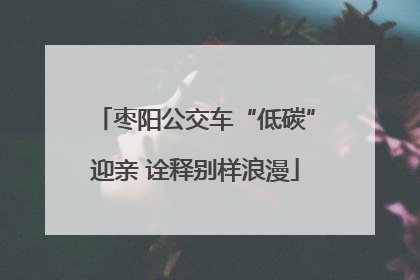 枣阳公交车“低碳”迎亲 诠释别样浪漫