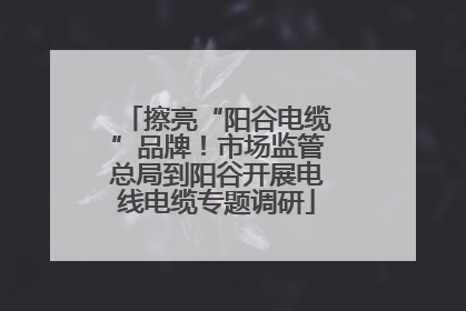 擦亮“阳谷电缆”品牌！市场监管总局到阳谷开展电线电缆专题调研