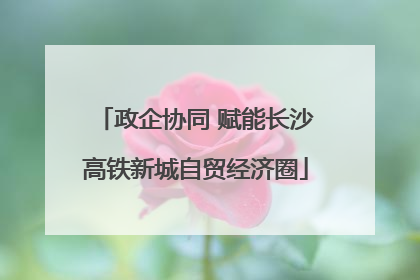 政企协同 赋能长沙高铁新城自贸经济圈