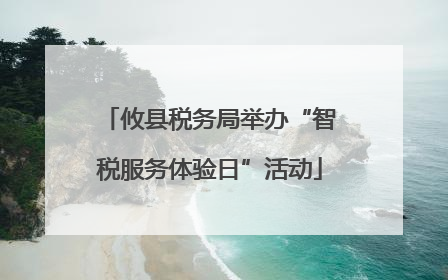 攸县税务局举办“智税服务体验日”活动