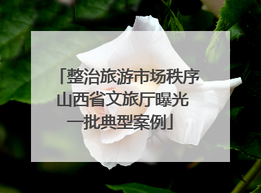 整治旅游市场秩序 山西省文旅厅曝光一批典型案例
