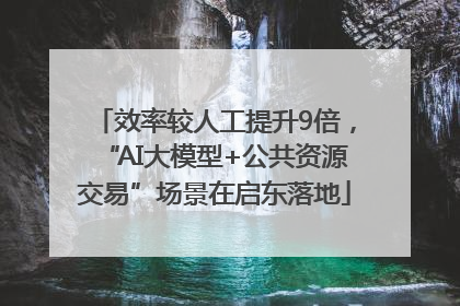 效率较人工提升9倍，“AI大模型+公共资源交易”场景在启东落地