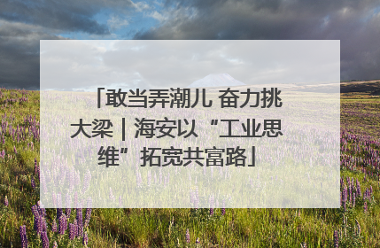 敢当弄潮儿 奋力挑大梁｜海安以“工业思维”拓宽共富路