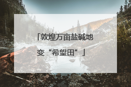 敦煌万亩盐碱地变“希望田”