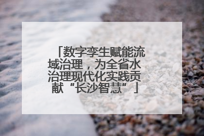数字孪生赋能流域治理，为全省水治理现代化实践贡献“长沙智慧”