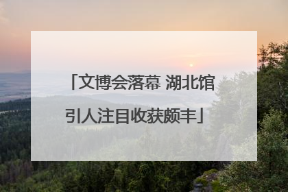 文博会落幕 湖北馆引人注目收获颇丰