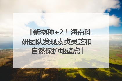 新物种+2！海南科研团队发现素贞灵芝和自然保护地壁虎