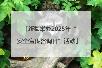 新疆举办2025年“安全宣传咨询日”活动