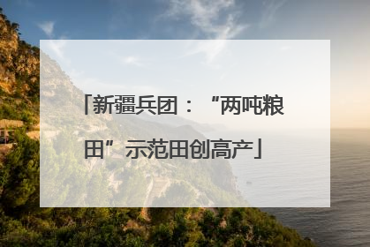 新疆兵团：“两吨粮田”示范田创高产
