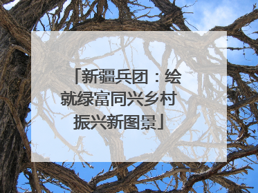 新疆兵团：绘就绿富同兴乡村振兴新图景