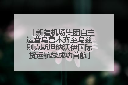 新疆机场集团自主运营乌鲁木齐至乌兹别克斯坦纳沃伊国际货运航线成功首航